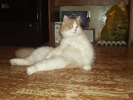 Изображение 045.jpg