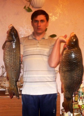Сазан 12 кг. и 5 кг.