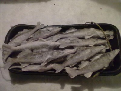 23022011424.jpg