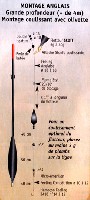 image001.jpg