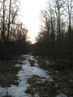 IMG_2211.JPG