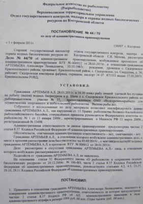 штраф1.jpg