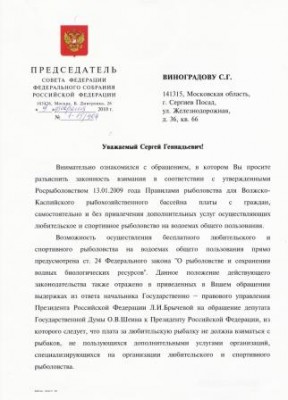 сжатый.jpg