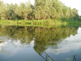 09.jpg