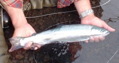100625_yanai01.jpg