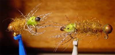 peeking-caddis.jpg