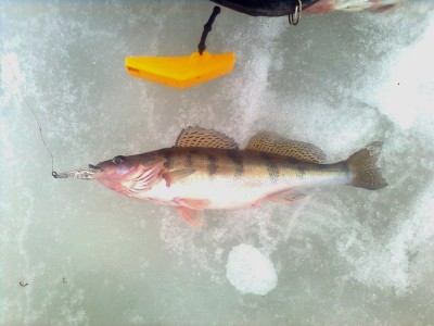 Рыбалка 02.04.11 г. 097.jpg