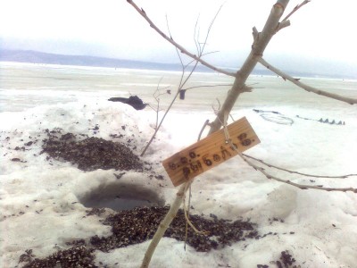 Рыбалка 02.04.11 г. 094.jpg