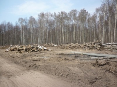 P1000956.JPG (97.1 КБ) 2606 просмотров Тут и дров полно, бери кто хочешь