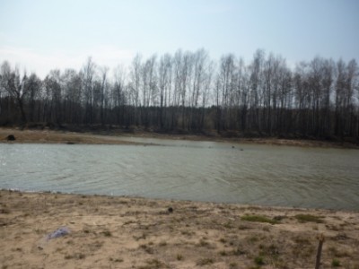 P1000961.JPG