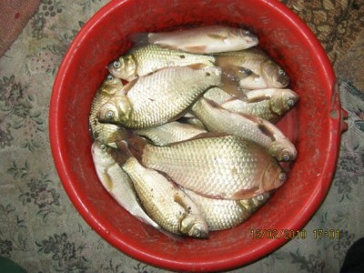 прошлогодний улов