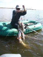 Роберт