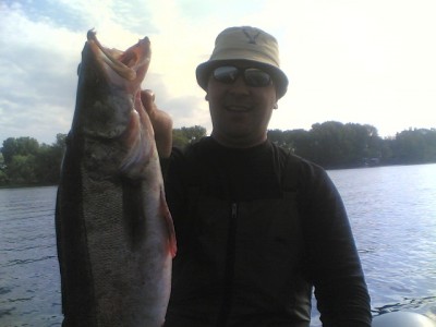 110620111.jpg