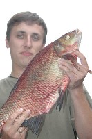 w10.jpg