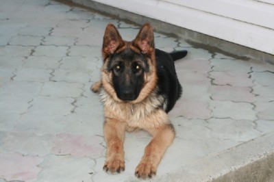 с кэнона 21.06.11 038 2.jpg