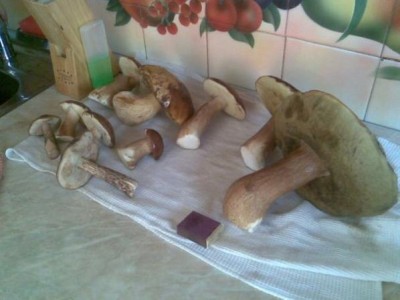 красавцы!!!!