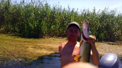 IMG0220A-1.jpg