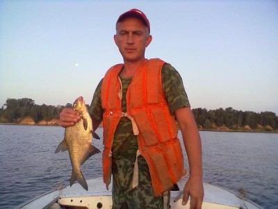 примерно вот такие экземпляры