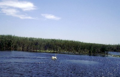 IMAG0546-1.JPG