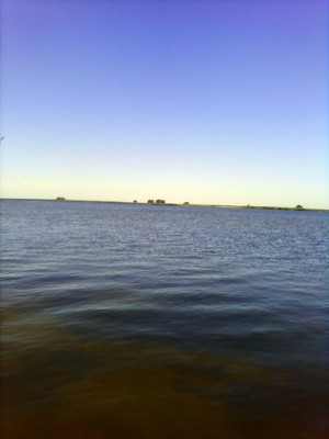 IMG0206A-1.jpg