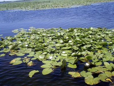 IMAG0549-1.JPG