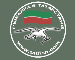 НАШИВКА