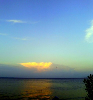 IMG0275A-1.jpg