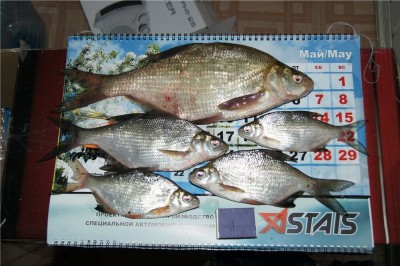 Клев )