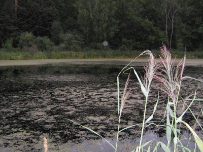 Resize of июль-август 2011 063.jpg