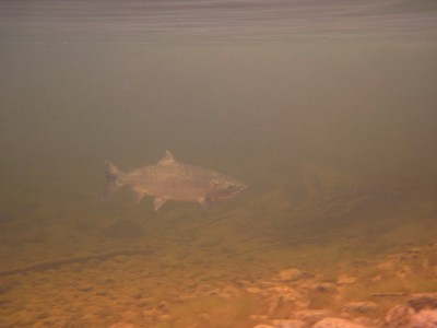 IMG_2106.jpg