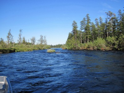 IMG_2232.jpg