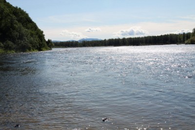 IMG_4571.jpg