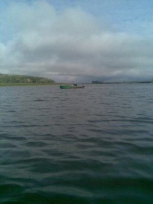 Браки гребанные