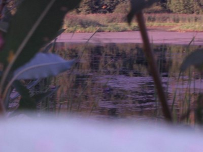 Resize of сентябрь 2011 023.jpg