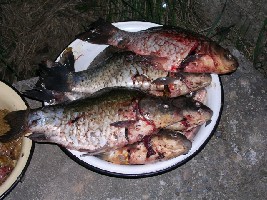 Вкуснятина.JPG