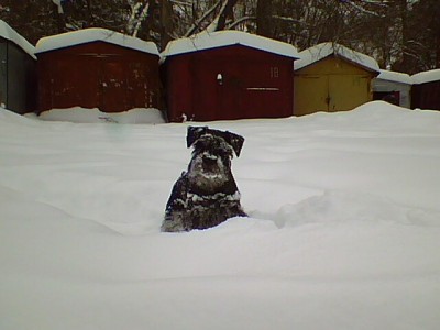 IMG0056A.jpg