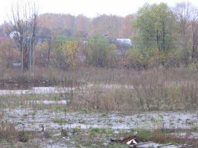 Resize of сентябрь-октябрь 2011 046.jpg