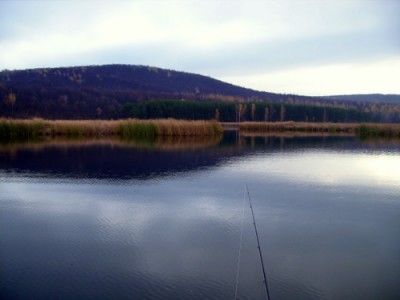 P9061478-1.JPG