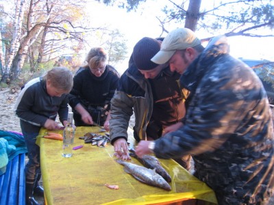 Готовка в полном разгаре