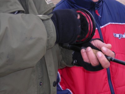 DSCN5700.JPG