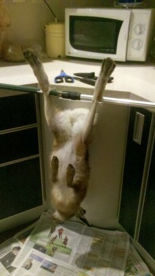 2011-10-23_20-37-59_905.jpg