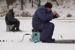 женяtfc.jpg