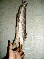 PB100049.JPG