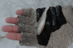 hand.jpg