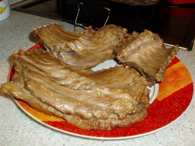 PB130139.JPG