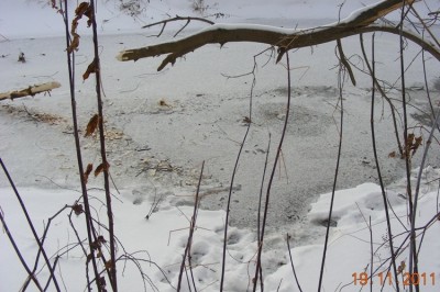 DSCN5200.JPG