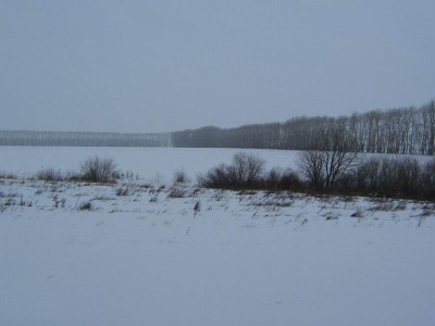 Resize of 1_111перекрестокъ.jpg