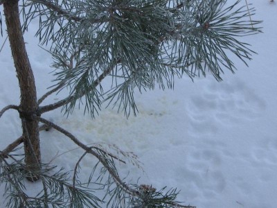 Resize of 2_111помечено плюс.jpg