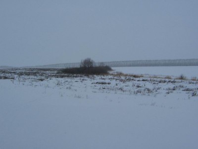 Resize of 3_2начало оврага.jpg