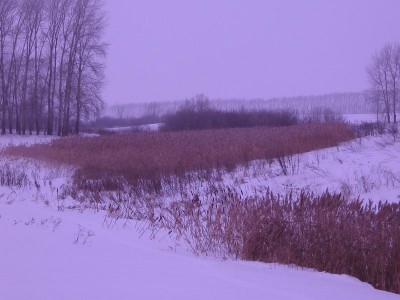 Resize of 4_4середина оврага.jpg